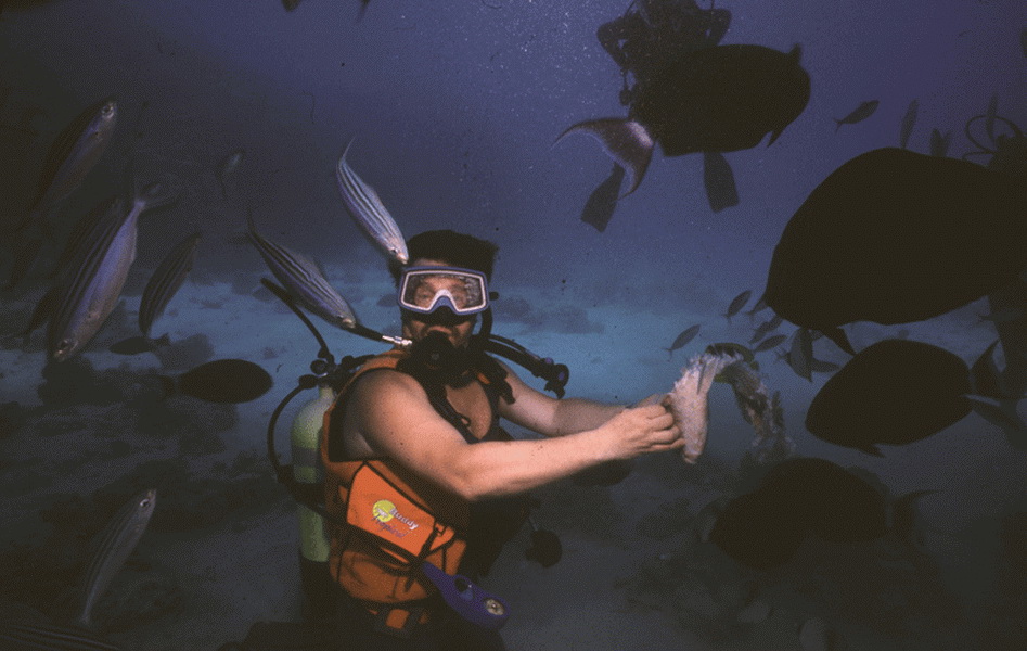 diving04