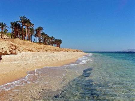safaga3