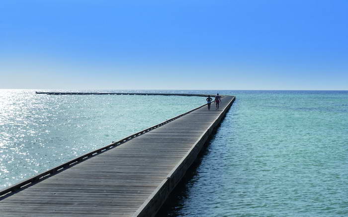 somabay01
